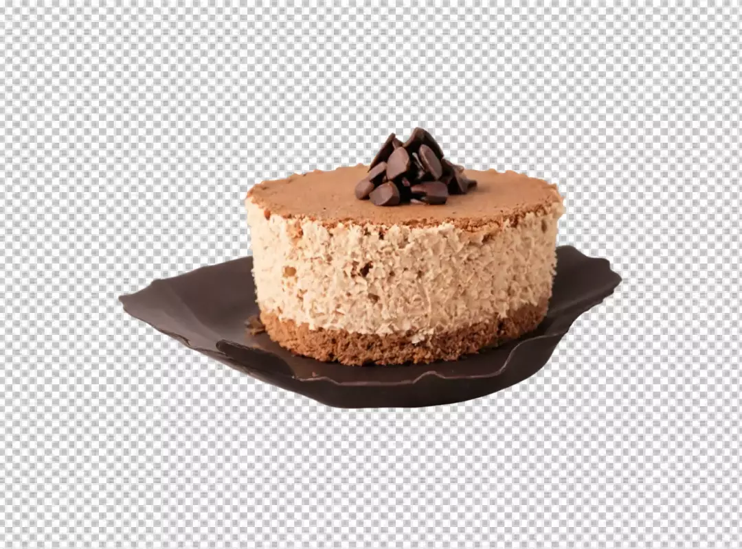 Elegant Individual Chocolate Mousse Cake with Chocolate Chips on Decorative Plate