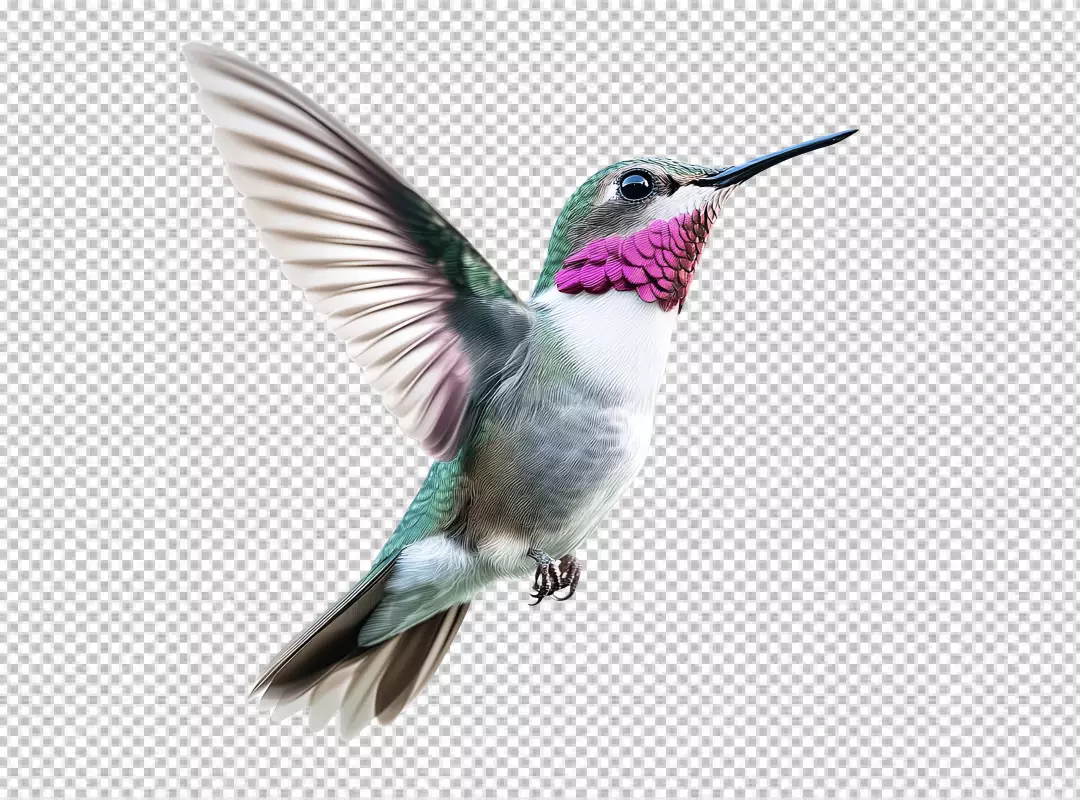 Vibrant Hummingbird in Graceful Flight: High-Quality PNG Cutout for Nature Designs