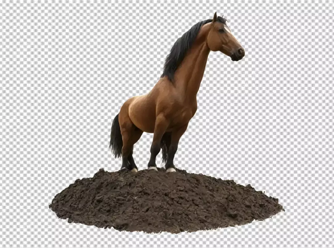Majestic Bay Horse Standing Gracefully on a Small Earth Mound, Full Body Shot