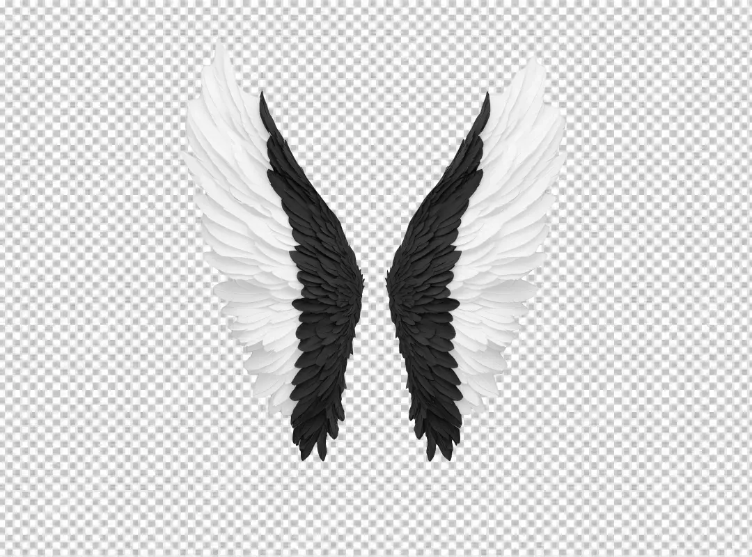 Striking Black and White Feathered Wings PNG for Creative Design Projects