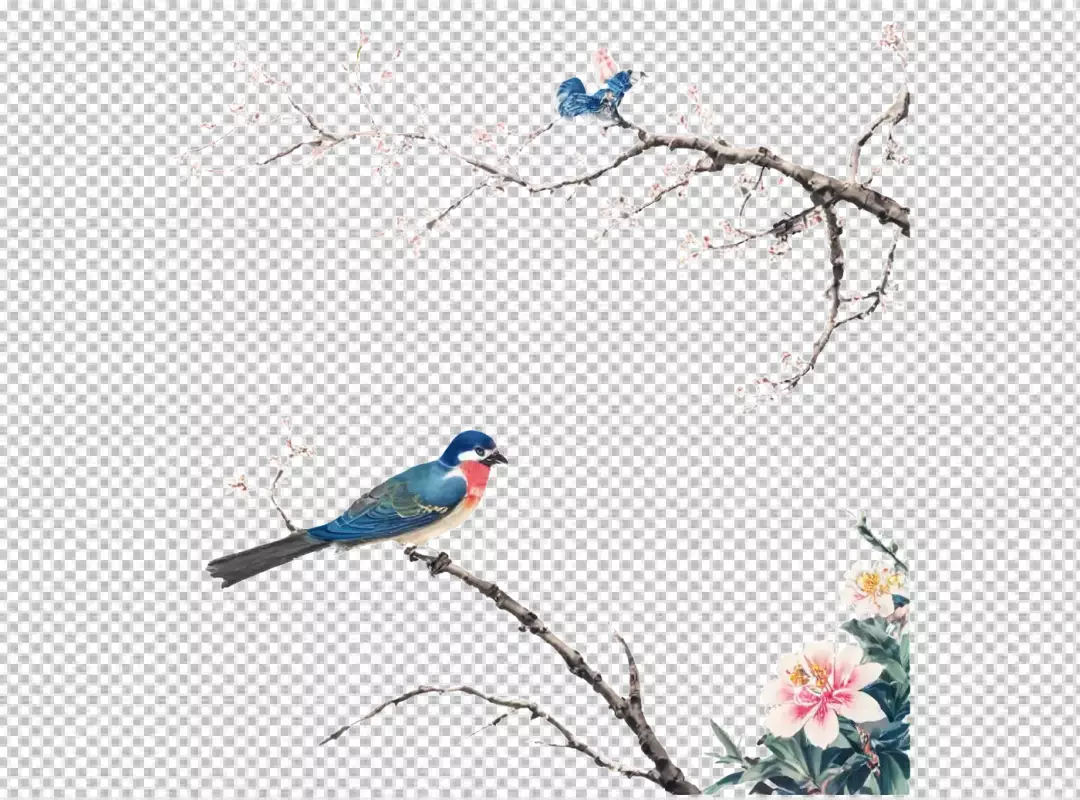 Exquisite Chinese Brush Painting of Colorful Birds on Delicate Spring Blossoms