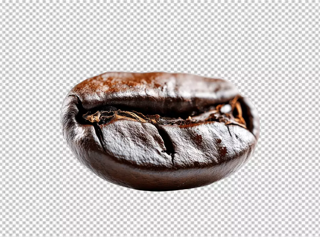 Macro Close Up Shot of a Single Dark Roasted Coffee Bean Isolated on White