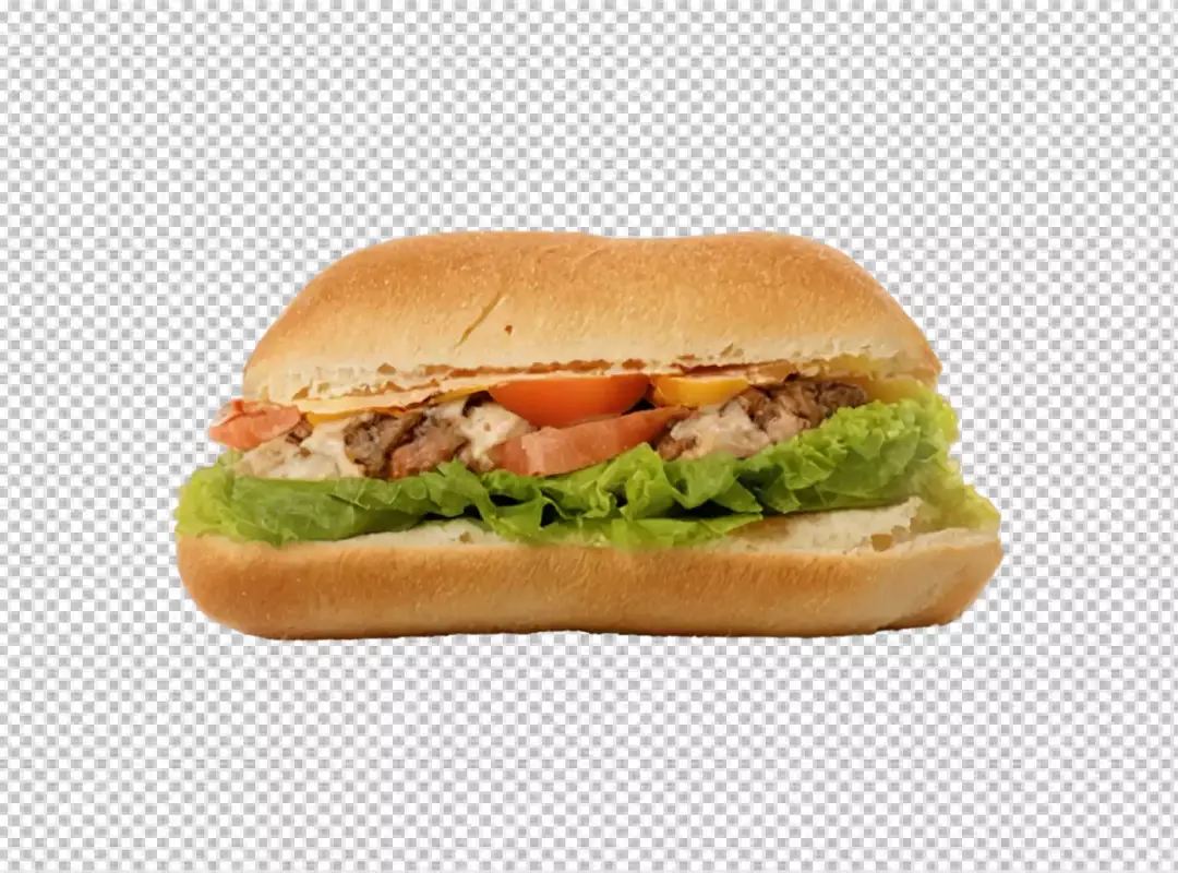 Delicious Freshly Made Submarine Sandwich with Chicken Lettuce Tomato and Sauce