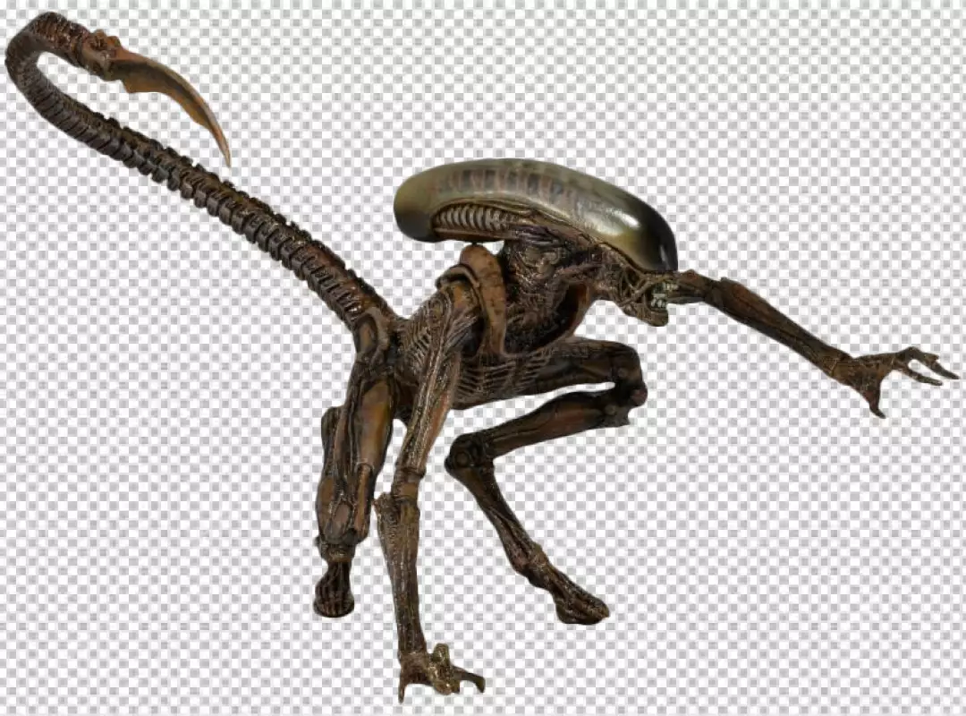 Fierce Alien Xenomorph Creature Standing on All Fours Ready to Attack