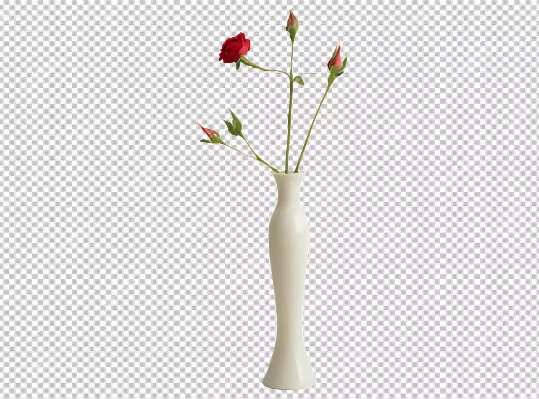Elegant White Vase with Vibrant Red Rose and Delicate Buds on Transparent Background