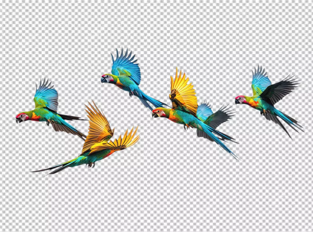 Vibrant Macaw Parrots Flying in Dynamic Formation, Colorful Bird Collection PNG Cutout