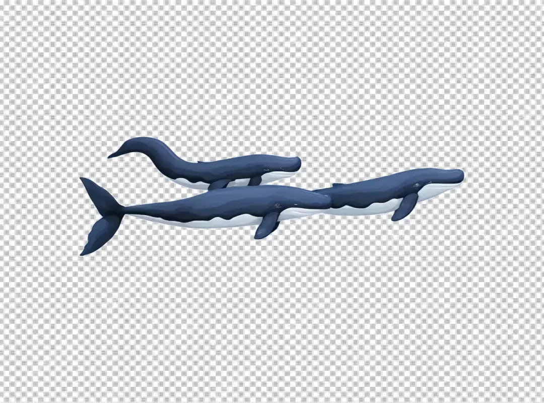 Three Blue Whales Swimming Gracefully, Marine Life Digital Illustration