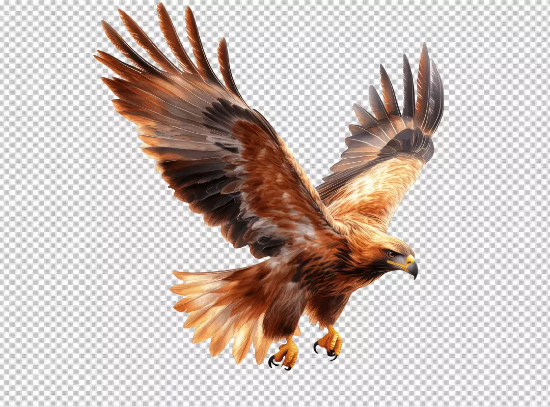 Majestic Golden Eagle Spreading Wings in Dynamic Flight PNG