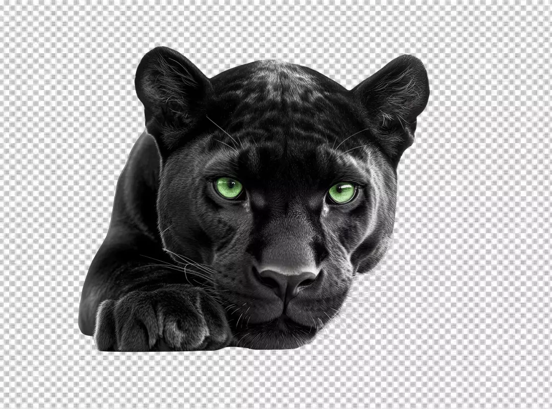 Majestic Black Panther with Piercing Green Eyes PNG Cutout