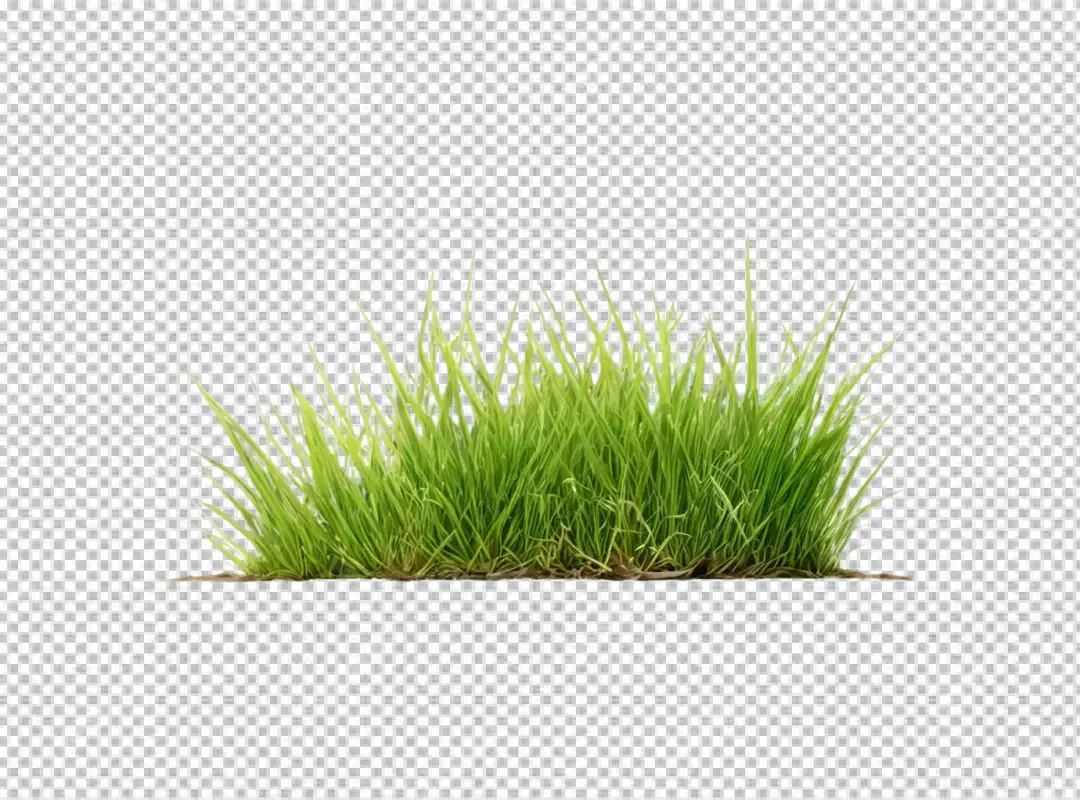 Vibrant Green Grass Patch Isolated on Transparent Background for Natural Design Elements