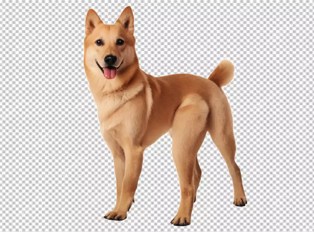 Happy Light Brown Dog Standing Alertly with Joyful Expression