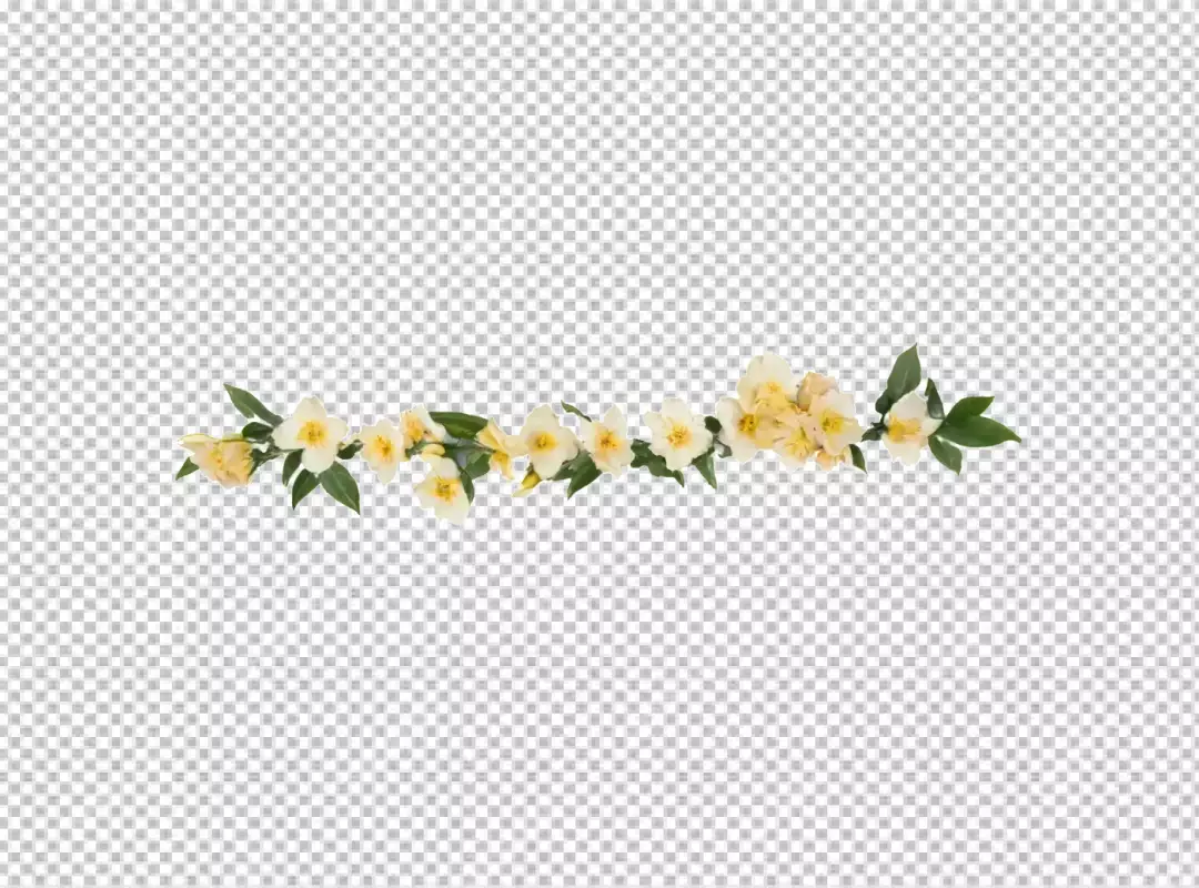 Delicate White and Yellow Blossoms Forming a Beautiful Spring Floral Garland