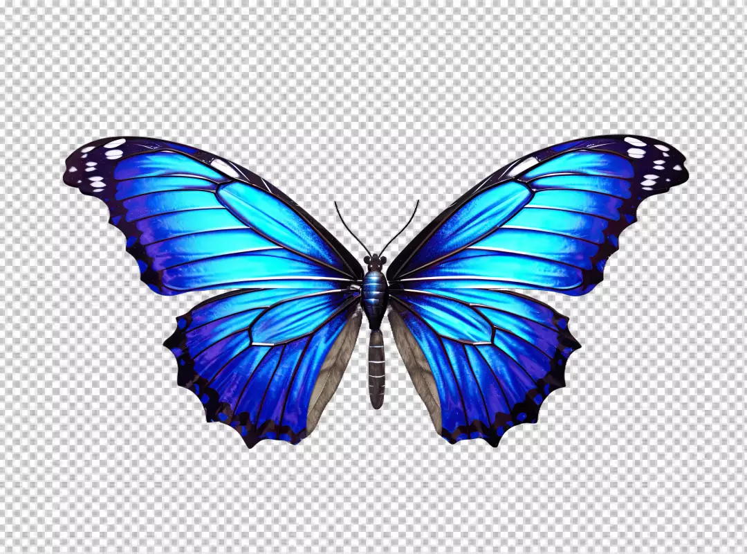 Stunning Blue Morpho Butterfly PNG for Creative Designs