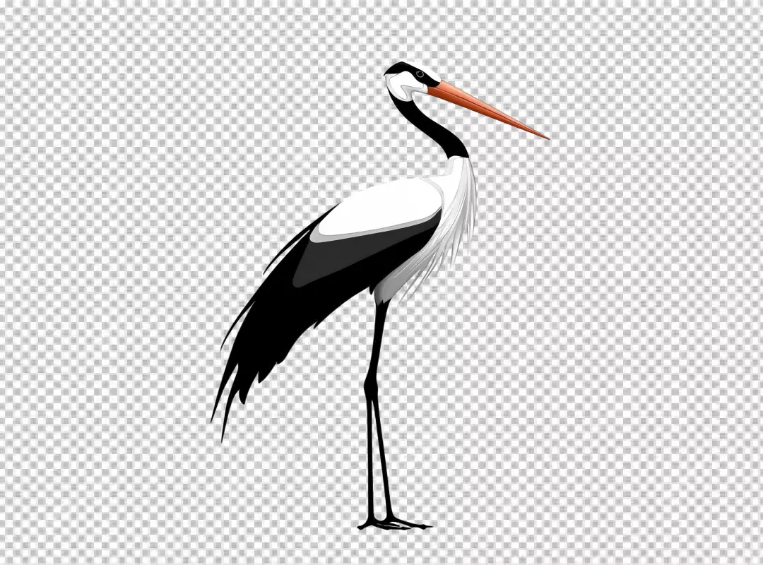 Elegant Cartoon Stork Standing Tall Vector Art Illustration for Nature Designs