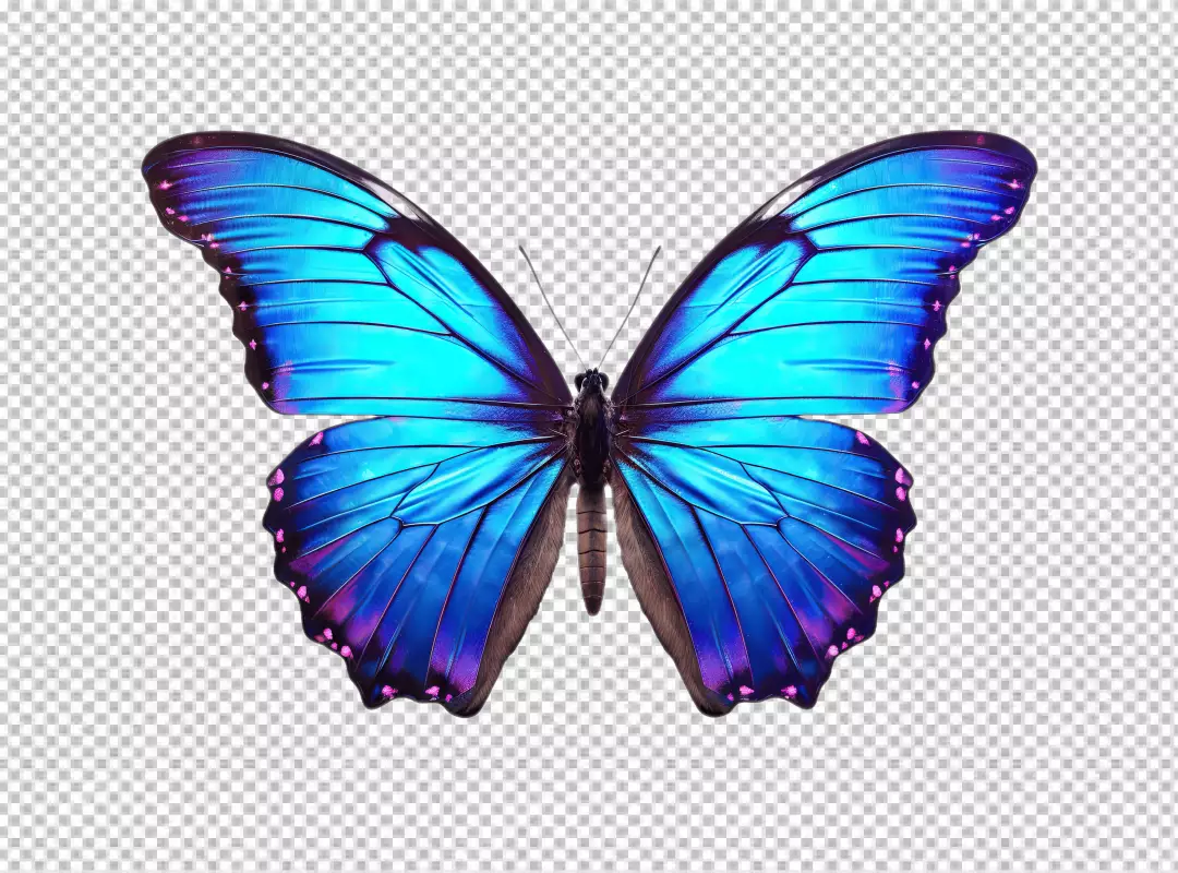 Stunning Blue and Purple Butterfly Cutout for Exotic Designs