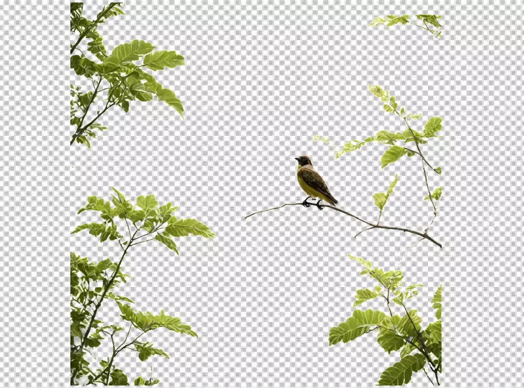 Small Brown Bird Perched on Bare Branch Amidst Lush Green Foliage on White