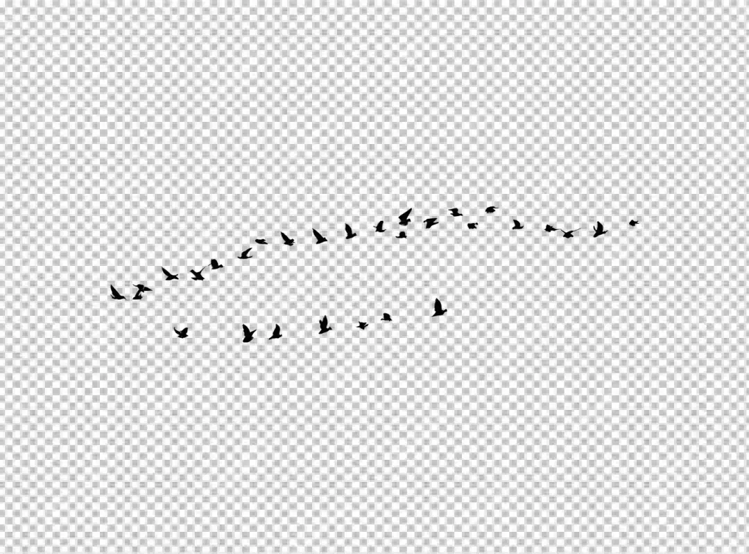Dynamic Flock of Diverse Birds Soaring Gracefully Through the Open Sky in Unity 7199