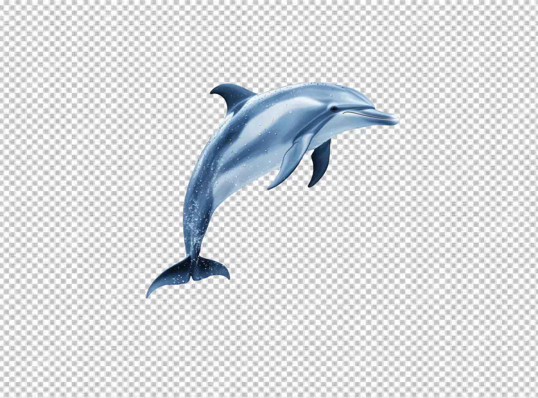 Dynamic Blue Dolphin Jumping with Water Splashes PNG Image
