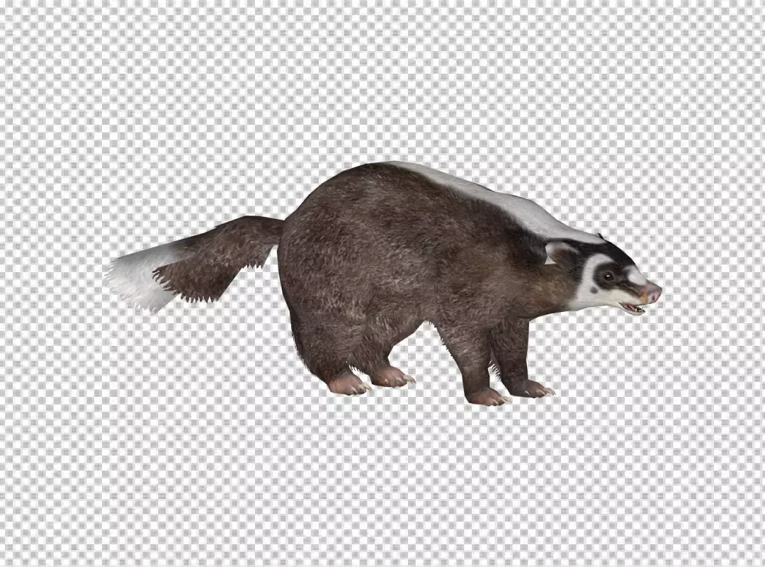 Realistic 3D Render of an Asian Badger with Distinctive Facial Markings