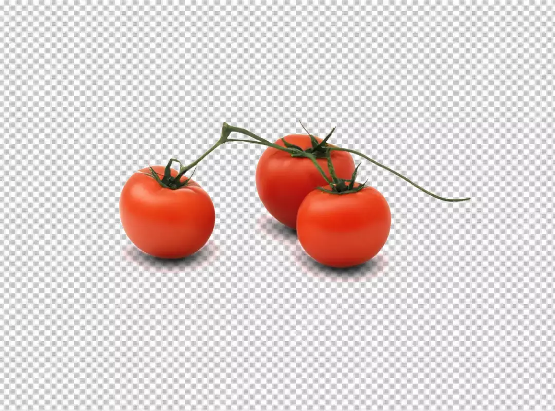 Fresh Ripe Red Vine Tomatoes Isolated on White for Healthy Cooking