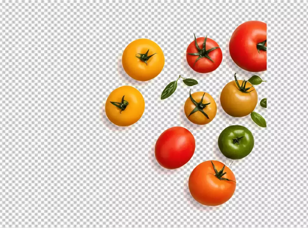 Vibrant Assortment of Fresh Ripe Tomatoes with Green Leaves on White Background