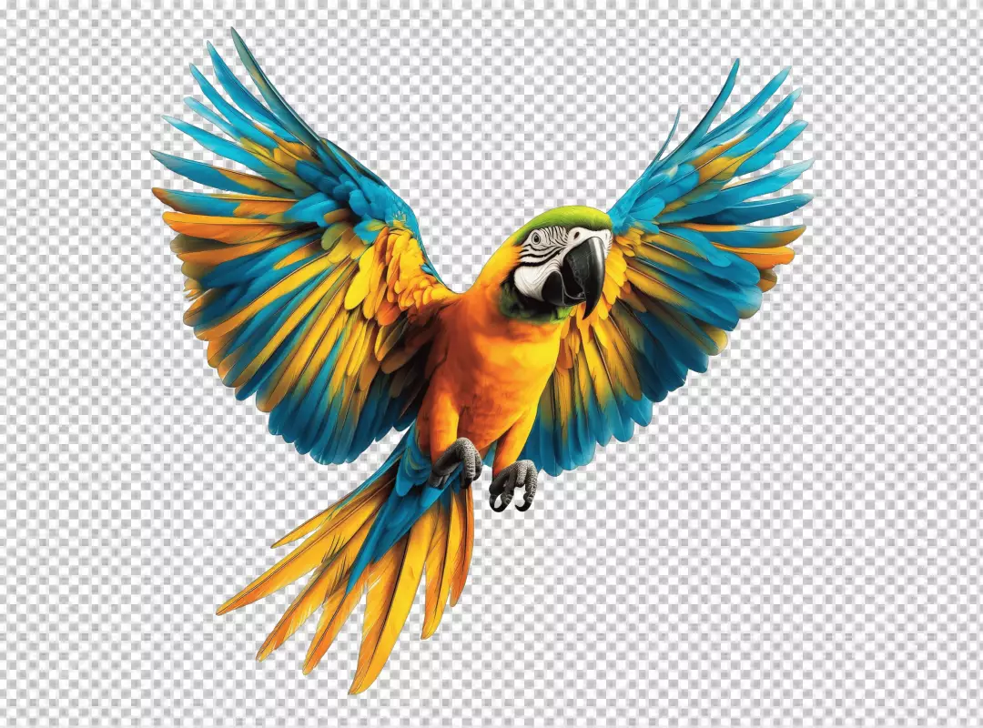 Vibrant Blue and Yellow Macaw Flying with Spread Wings PNG Cutout for Design Projects