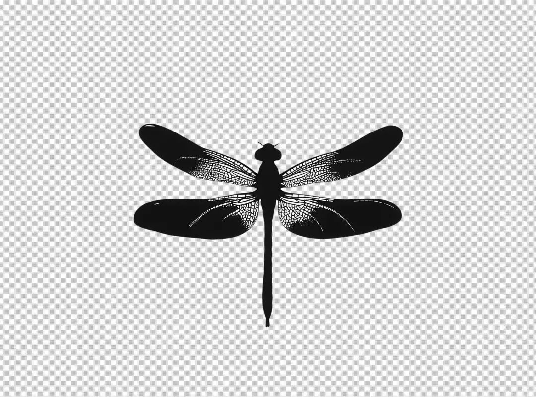 Elegant Black Dragonfly Silhouette PNG Cutout with Detailed Wings