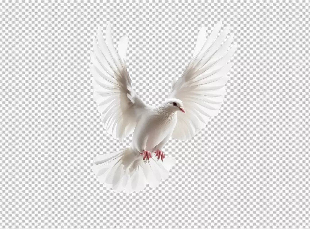 Beautiful White Dove Flying Freely. Symbol of Peace, Hope, and Freedom