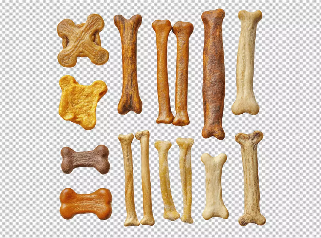 Assortment of Bone Shaped Dog Treats for Canine Nutrition and Pet Care