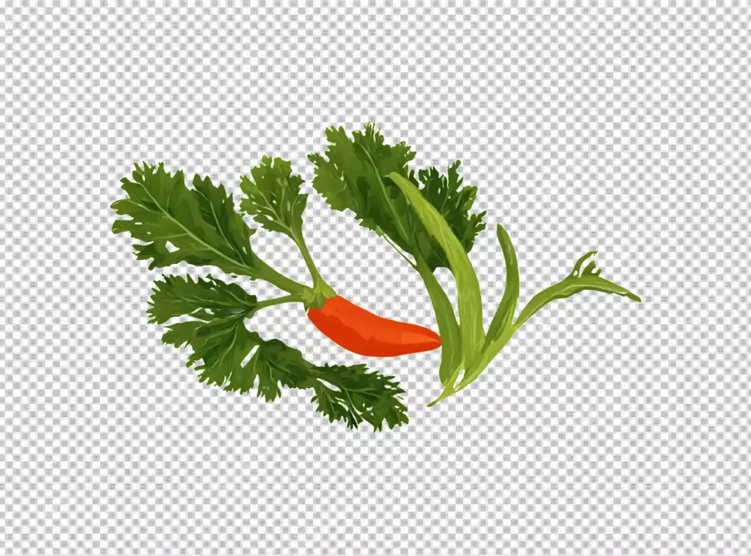 Artistic Digital Drawing of a Vibrant Red Chili Pepper and Fresh Green Herbs