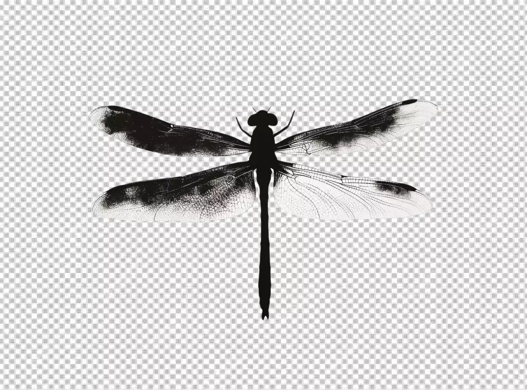 Elegant Black Dragonfly Silhouette PNG for Nature and Insect Designs