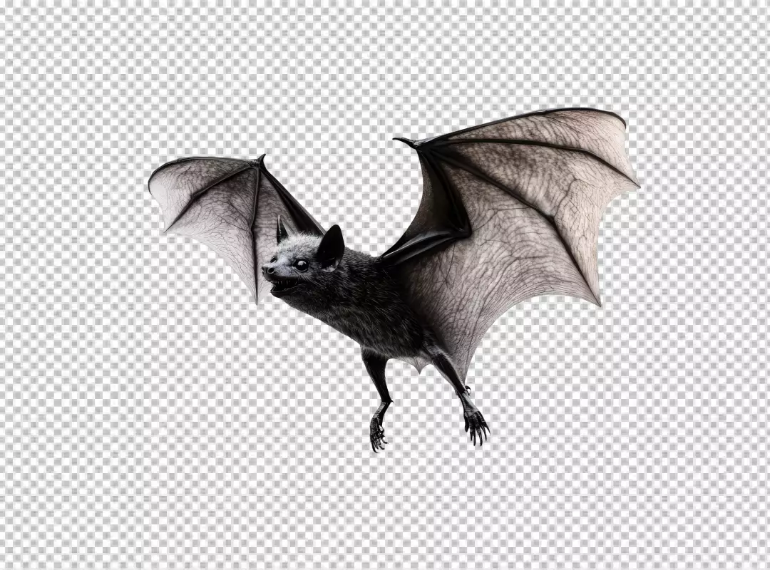High-Quality Flying Bat PNG Cutout for Spooky Halloween Designs