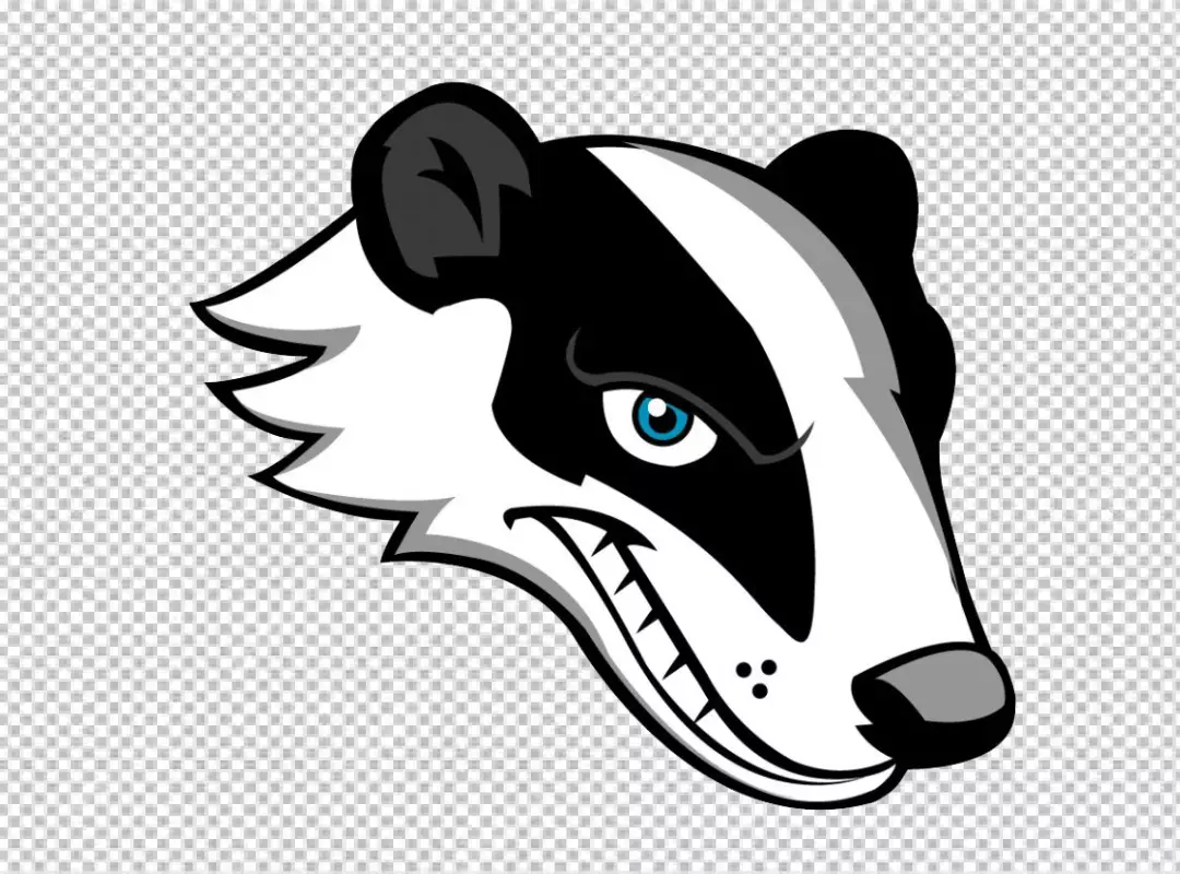 Graphic Badger Head with Blue Eyes, Black and White Stripes, and Snarling Expression
