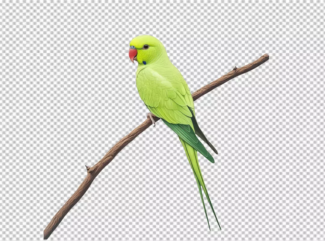 Vibrant Green Parrot Perching on Branch PNG Cutout for Tropical Wildlife Design