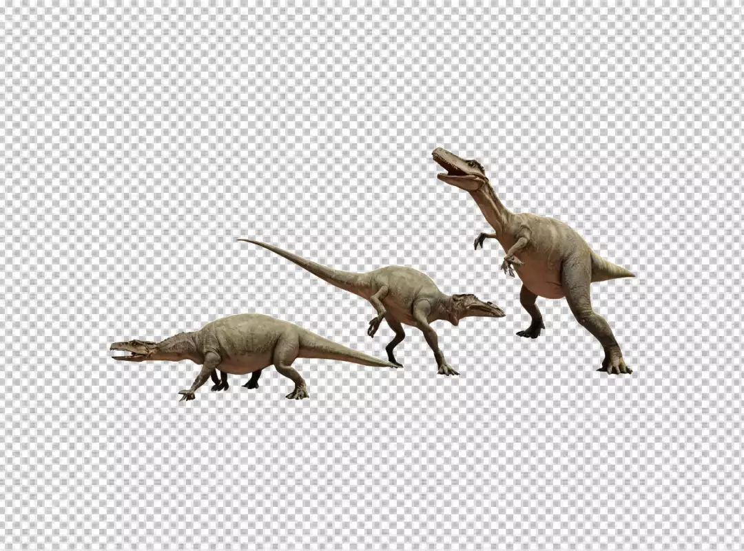 Three Prehistoric Baryonyx Dinosaurs in Dynamic Poses Isolated on White Background
