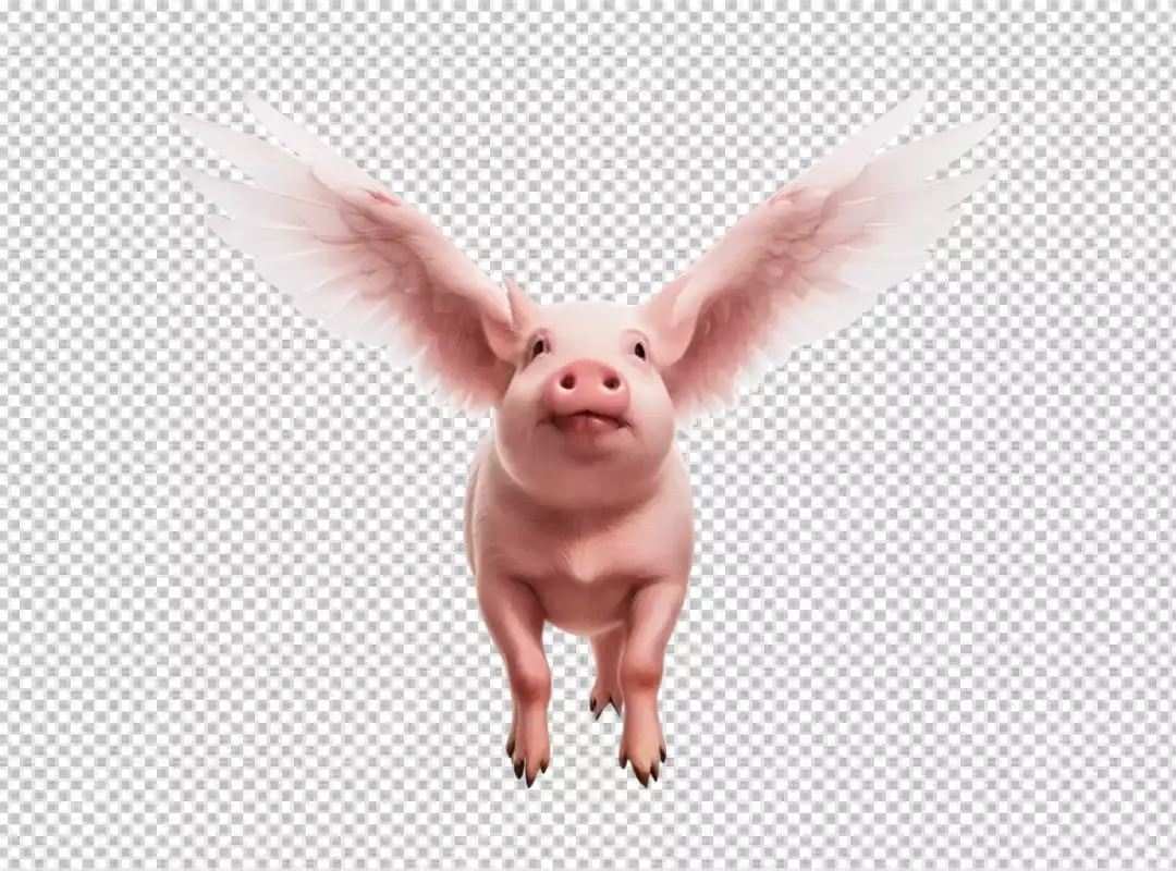 Whimsical Flying Pig with Elegant White Wings Against Clean White Background
