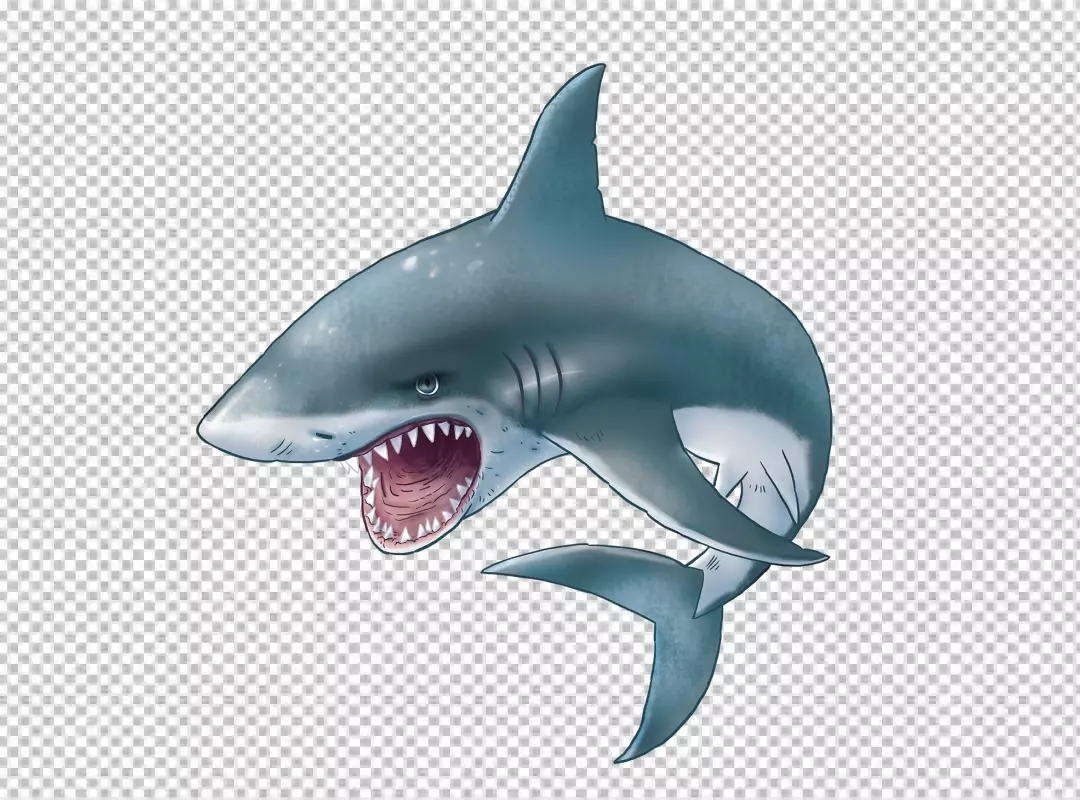 Fierce Great White Shark Attacking with Open Mouth and Sharp Teeth