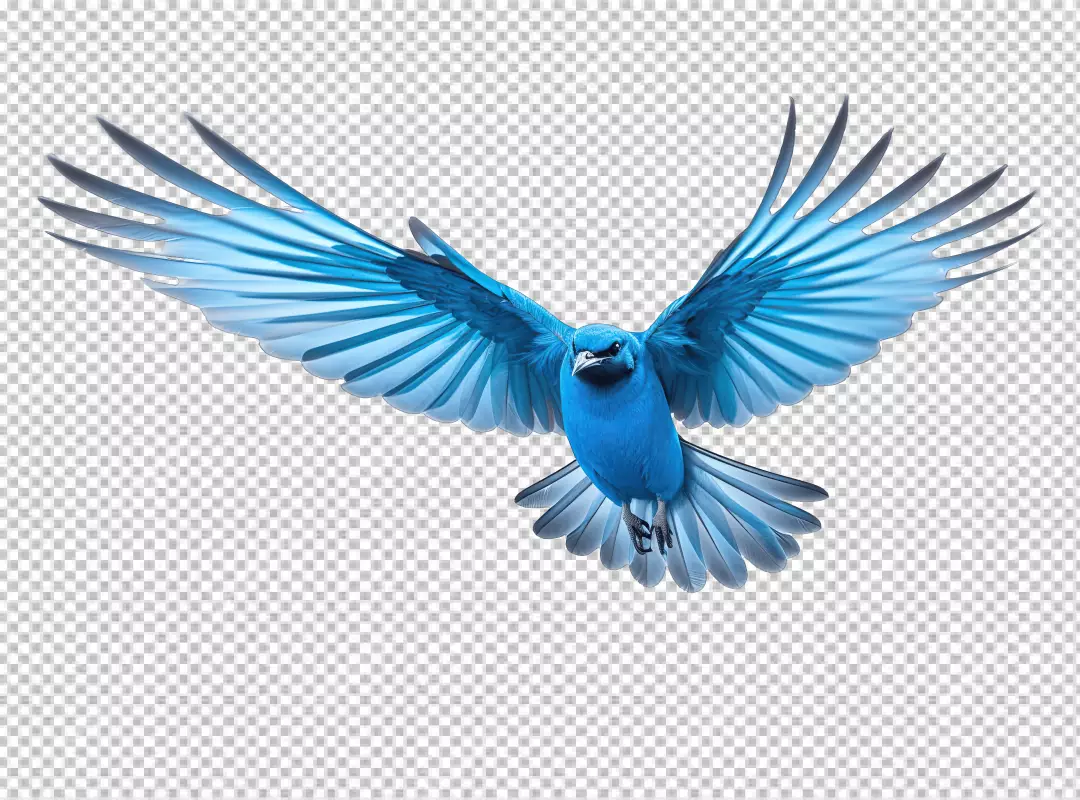 Majestic Blue Bird in Flight with Spread Wings Cutout PNG