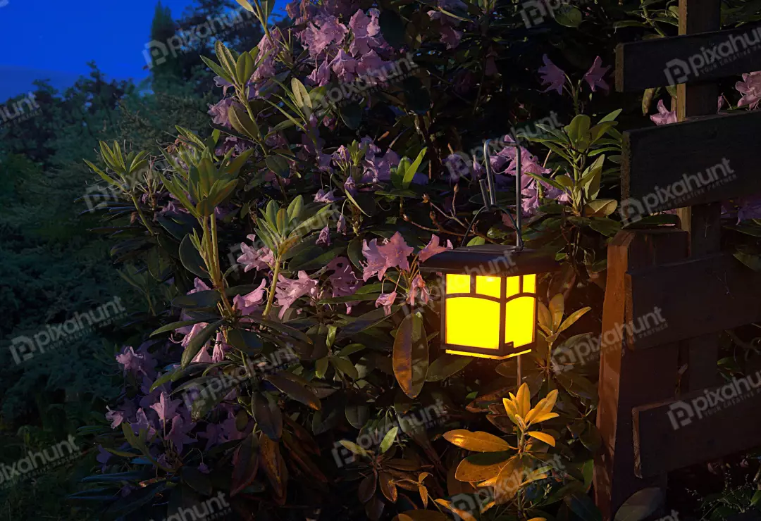 Glowing Solar Lantern Illuminates Vibrant Purple Rhododendron Flowers in Evening Garden