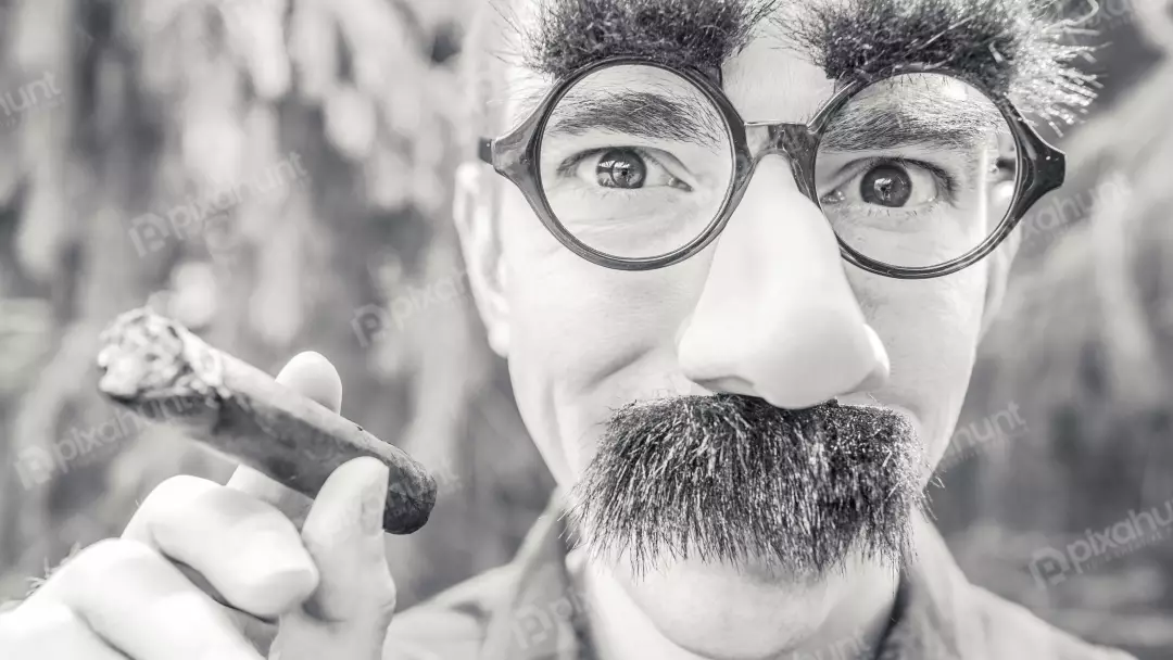 Humorous Retro Portrait with Fake Glasses, Mustache, Nose, and Cigar