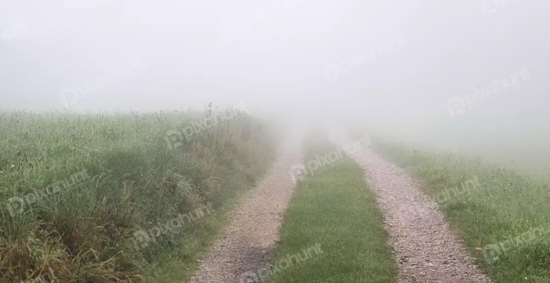 Foggy Rural Path Disappearing into Dense Mist Through a Green Meadow