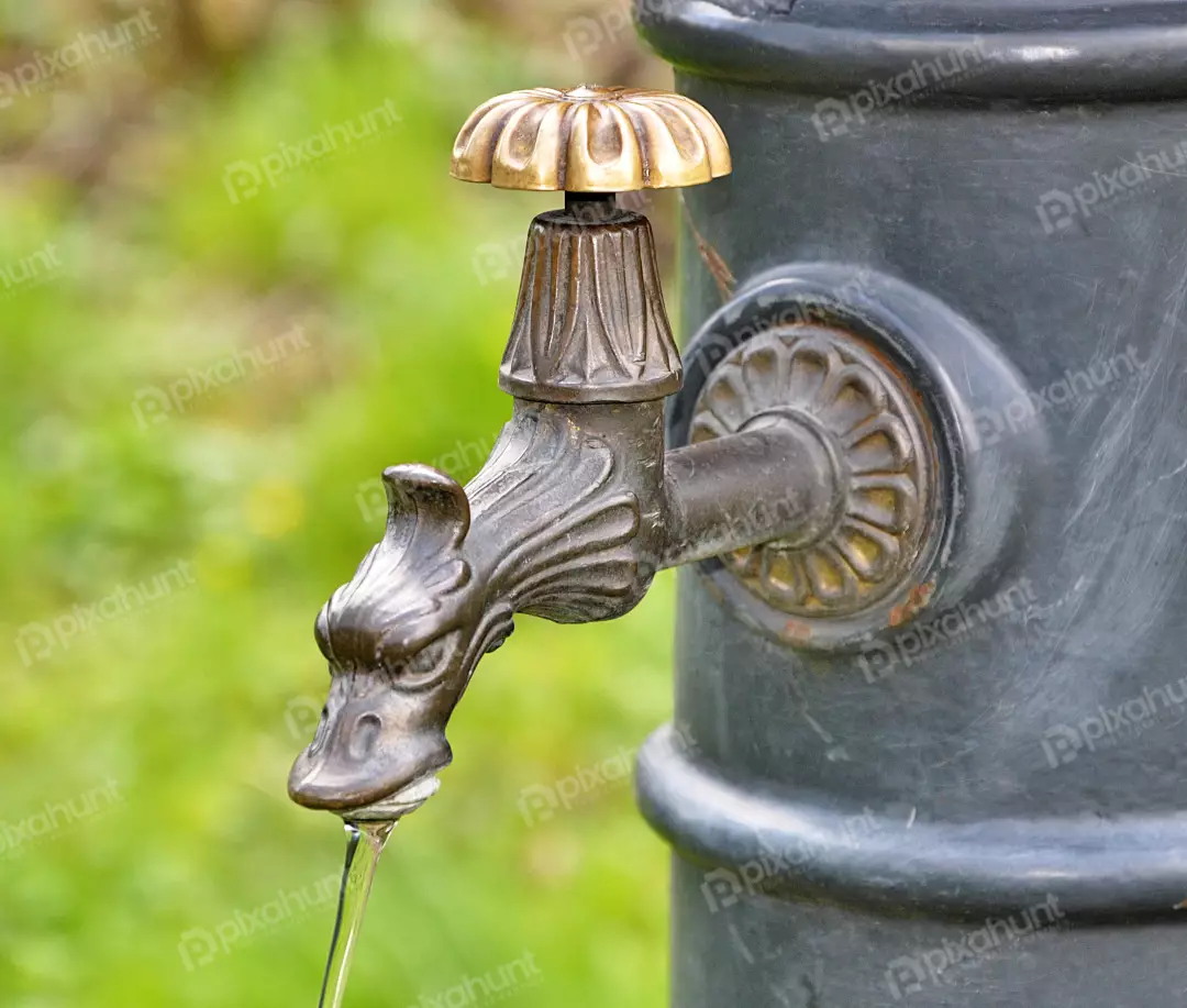 Ornate Dragon Head Bronze Faucet with Flowing Water on Grey Column