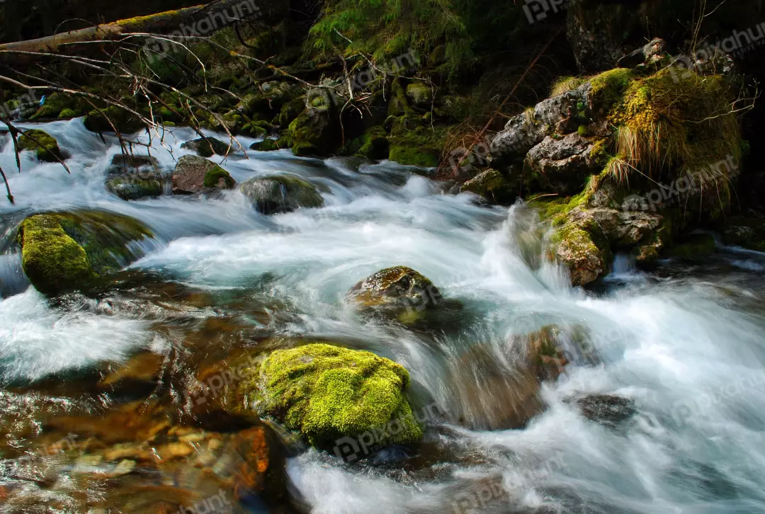 Dynamic Long Exposure of Rushing River Over Moss-Covered Rocks in Lush Forest