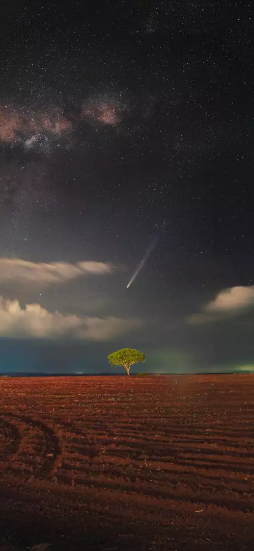 Free Premium Stock Photos Comet Streaks Across Starry Night Sky Above Lone Tree in Cultivated Field