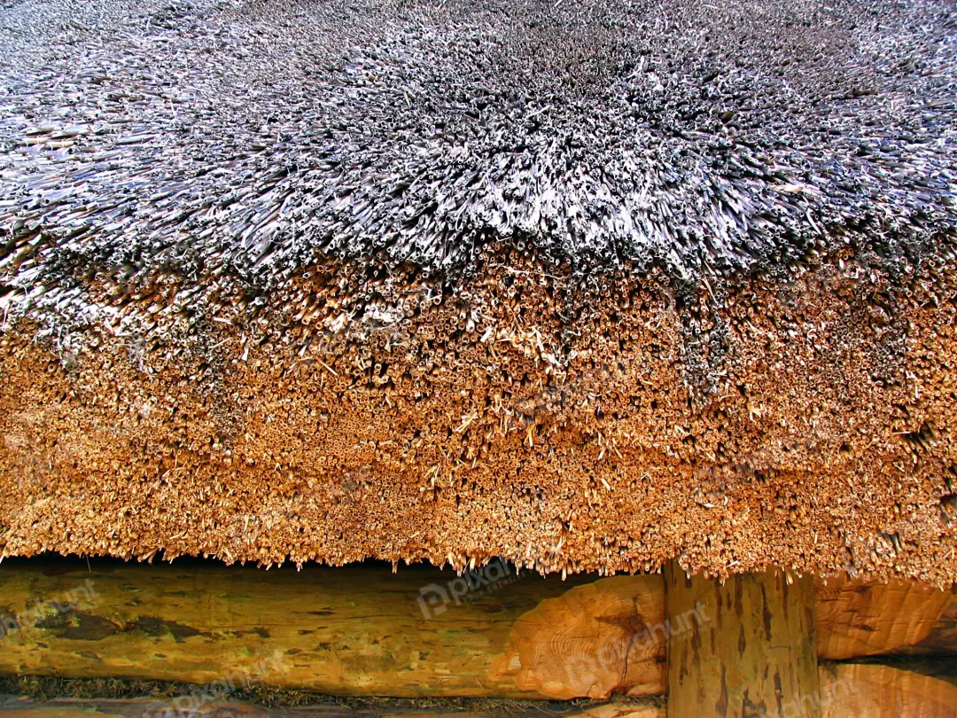 Traditional Thatched Roof Texture on Rustic Wooden Building Detail