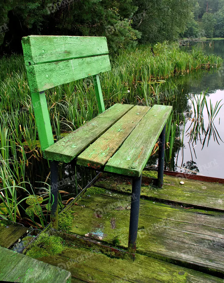 Weathered Green Bench on a Mossy Wooden Pier by a Calm Forest Lake