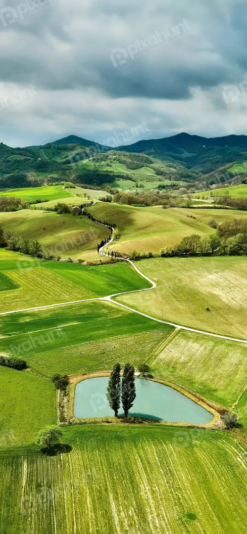 Free Premium Stock Photos Scenic winding road through lush green rolling hills and countryside
