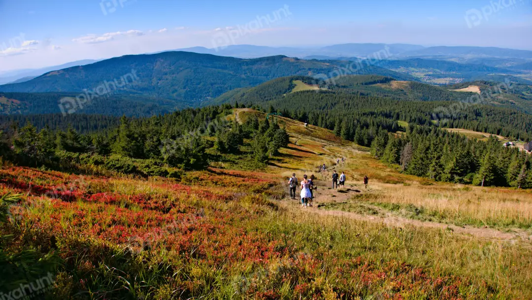 Hikers on Autumn Mountain Trail Amidst Green Forests and Clear Sky