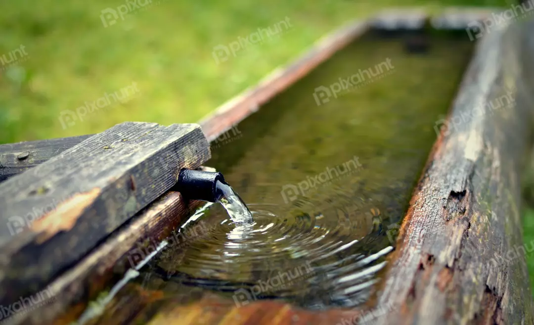 Fresh Mountain Spring Water Flowing into Rustic Wooden Trough