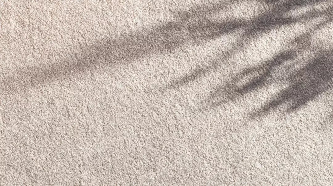 Free Premium Stock Photos Natural Sunlight with Organic Leaf Shadows on Textured Beige Background